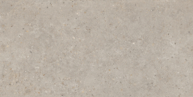 SG540620R Керамогранит Риккарди Бежевый Матовый Обрезной 60x119.5