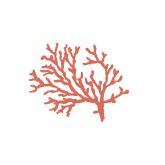 Декор Stories Costiera Lux 10x10