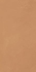 Декор CottoMilano Mattone R10 RT Ultramatt 60x120