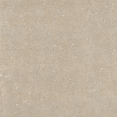 Керамогранит Rinascenza Arena Conchiglia Matte 6mm 120x120