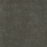 Керамогранит Rinascenza Arena Platino Matte 6mm 120x120