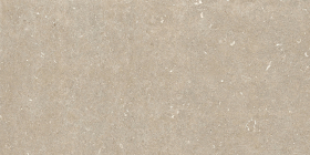 Керамогранит Rinascenza Arena Conchiglia Matte 6mm 60x120