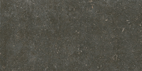 Керамогранит Rinascenza Arena Platino Matte 6mm 60x120