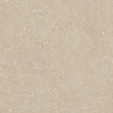 Керамогранит Rinascenza Arena Conchiglia Matte 60x60