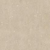 Керамогранит Rinascenza Arena Conchiglia Grip 60x60