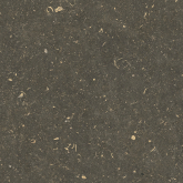 Керамогранит Rinascenza Arena Platino Grip 20mm 120x120