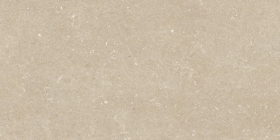 Керамогранит Rinascenza Arena Conchiglia Grip 20mm 60x120