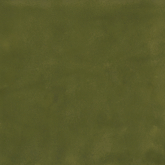 Керамогранит SensiColore Muschio Glossy 11.6x11.6