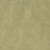 Керамогранит SensiColore Salvia Glossy 11.6x11.6