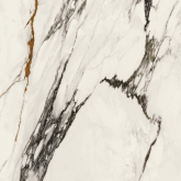 Керамогранит Xlight Paonazzo Biondo Polished 120x120