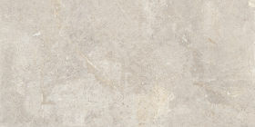 Керамогранит Everstone Evercream Rett (P) 60x120