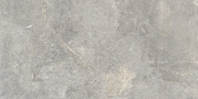 Керамогранит Everstone Evergreige Rett (P) 60x120