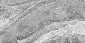 Керамогранит Palacio Imperador Grey Polished 60x120