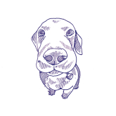 Декор Stories Eddie Matte 10x10