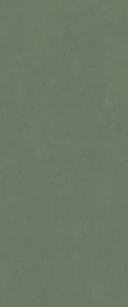Плитка Surface Форест Грин Рет 50x120
