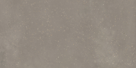 Керамогранит Пунтум Серый матовый обрезной 60x119.5x0.8