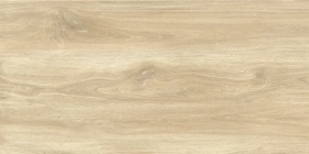 GRS11-17S Керамогранит Ajanta Ash 120x60
