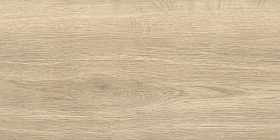 Керамогранит Alma Ceramica Brentwood 24R матовый 300x600x7