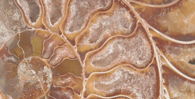 FM3366 Керамогранит Serapool Natural Series Fossil Mix 33x66