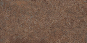 Декор Neodom Decoration Кортен Раст 1 Матовая 60x120