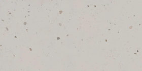 KM6012G1501R Керамогранит Kerama Marazzi Тараскон Kerama Marazzi Серый светлый матовый обрезнойx0.9 60x119.5