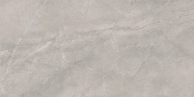 Керамогранит Baldocer Bayona Silver Natural 60x120