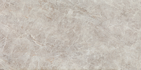 PP-02-781-1198-0598-1-004 Керамогранит Tubadzin Root Tubadzin Grey Mat 119.8x59.8