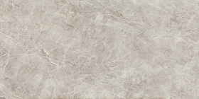Керамогранит Tubadzin Root Grey Mat 119.8x59.8
