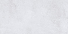 SN0L05M01 Керамогранит ZERDE TILE Silent Light Grey 60x120