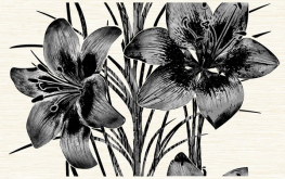 04-01-1-09-03-04-081-2