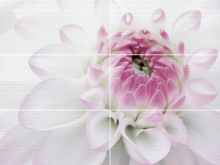 06-01-1-23-04-04-331-0 Панно Фреш тюльпаны Черный цветок 100x75