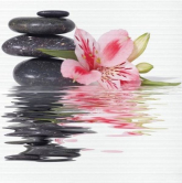 06-01-1-23-04-04-331-0