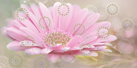 04-01-1-08-05-23-370-1 Декор Мечта Песочный цветок 40x20
