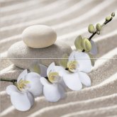 ВСПН9РЛ1 Панно Relax Камешки (компл. из 2х пл.) 49.8x50