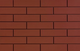 8358 Плитка Rot Gladka t 24.5x6.5