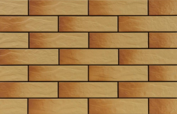 8300 Клинкерная плитка Elewacja Rustiko gobi new