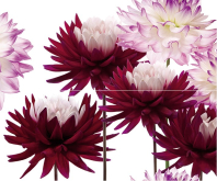 Панно Porto Dec. Flower B (из 2пл) 50x60