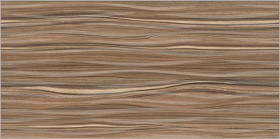 TWU09PLS404 Плитка Plesso T404 24.9x50