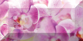 br1020D190-1 Бордюр Impression Flowers рельефный 1