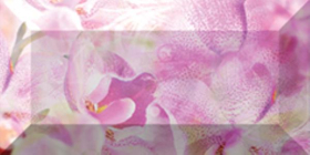 br1020D190-2 Бордюр Impression Flowers рельефный 2
