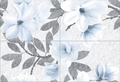 Арго Магнолия