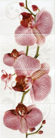 377087 Панно Fiori Dec. Орхидея