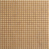 Мозаика Чистые цвета на сетке SS 23 31.5x31.5