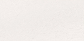 Керамогранит Моноколор Белый рельефный ректифицированный 120х60