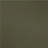 UF037PR Керамогранит Моноколор Хаки Полированный 60x60