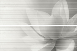 HGD/A200/2x/12102R Панно Борсари Цветок белый