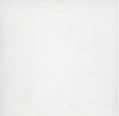 Керамогранит Ardesia Bianco 59.4