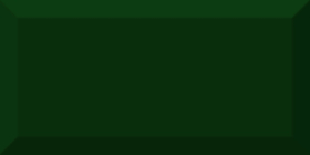 Плитка Monocolor Botella Biselado Brillo 20x10