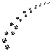 Декор Black Cat 3 10x10