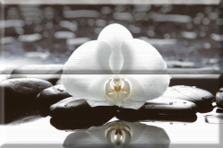 Панно Aure Wellness white Composicion Wellness 01 White (комплект 2шт) 45x30